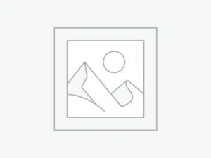 プレースホルダー